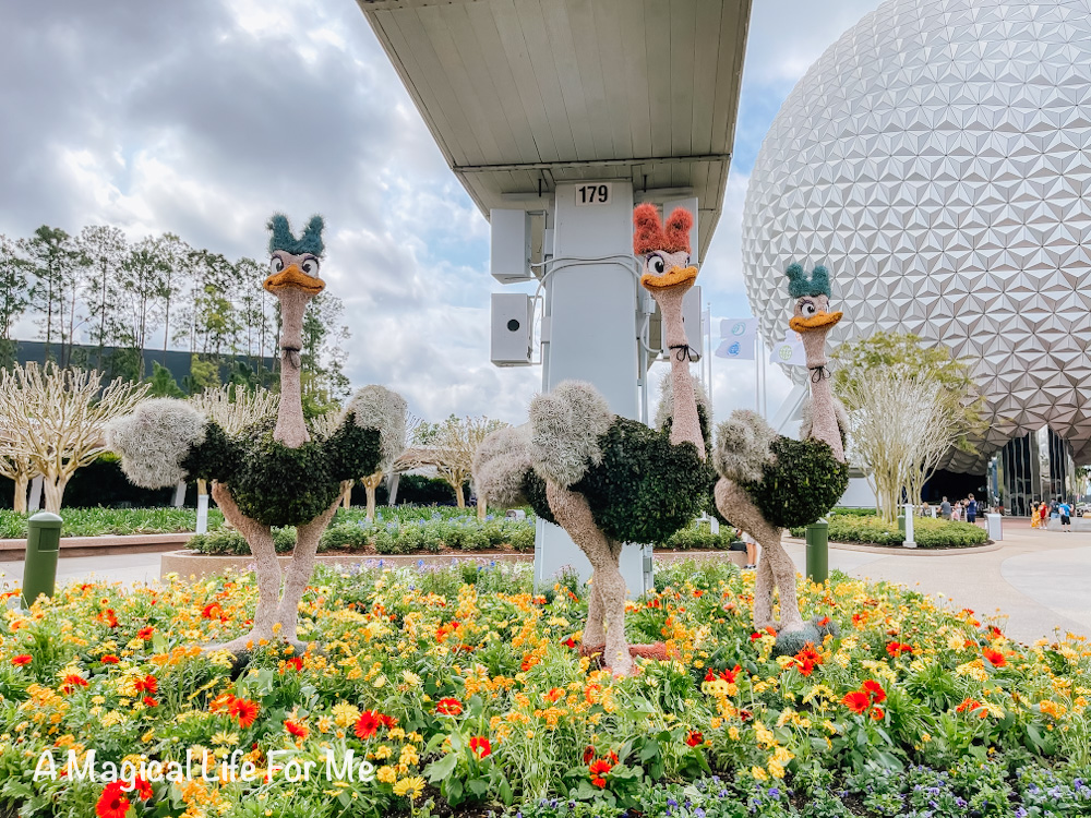 Flower and Garden Festival ostrich topiary 