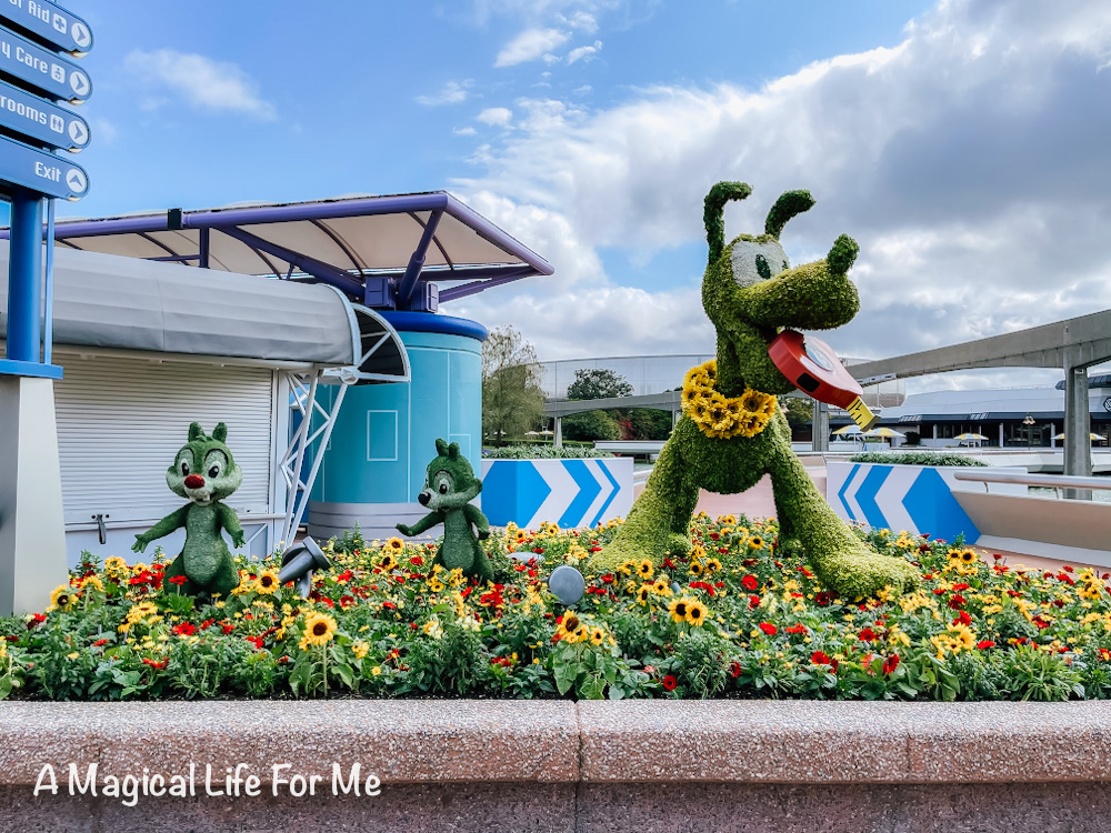 Flower and Garden festival topiary 