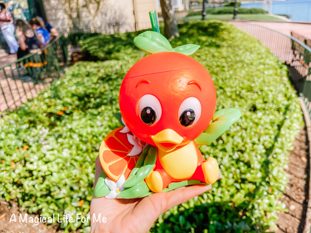 Orange bird sipper 