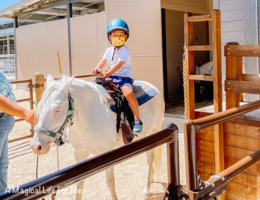 pony rides disney fort wilderness