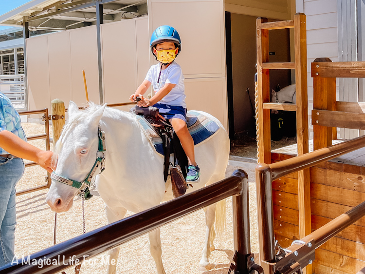 pony rides disney fort wilderness