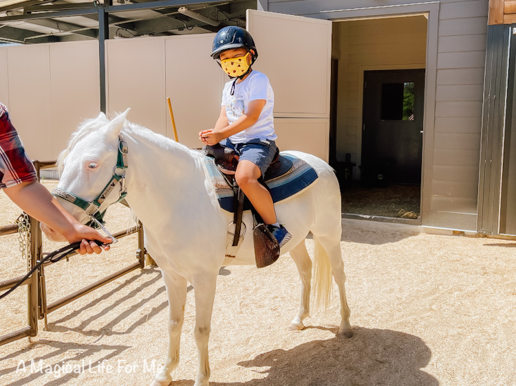 Pony rides disney fort wilderness 