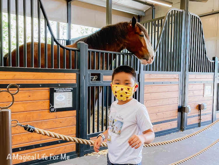 horses at Fort Wilderness